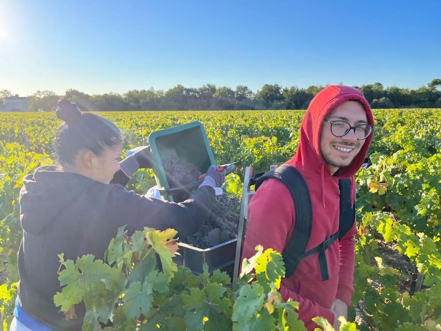 Chai Margaux. Maison 6 Pers Au Coeur Des Chateaux Villa Ngoại thất bức ảnh